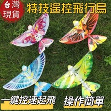 特技遙控飛行鳥 操作簡單, 綠翅膀, 1個