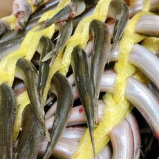 동해 반건조 양미리 1두름(20미), 1세트, 1kg