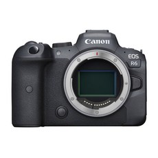 캐논 EOS R6, 캐논 EOS R6 + 프로페셔널패키지