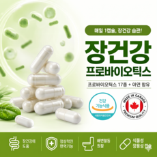 직장인 장건강 만성 변비 유산균 100억 보장균수 생유산균 프로바이오틱스 캡슐 건강 관리 여성 밸런스, 2개, 60정
