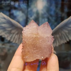 【土桑展精選寶物】仙人掌水晶 61-64號(Cactus Quartz) 南非, 1個, 191204-63
