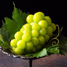 [미슐랭의 선택] 고당도 샤인머스켓 청포도, 1세트, 1kg(상품)