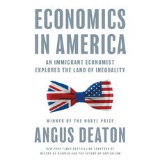 (영문도서) Economics in America: An Immigrant Economist Explores the Land of Inequality Paperback, Princeton University Press, English, 9780691247847