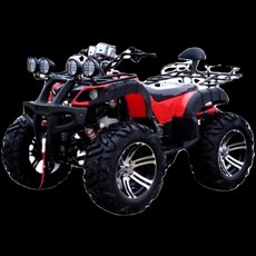 네발 오토바이 농업용 바이크 산악 전동사륜 다목적 트레일러 레저 사륜 농업용사륜바이크, 리틀불 패키지 2