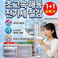 1+1 전원 차단 없이 해빙 스프레이 뿌리는 얼음제거 스프레이 3분 속효 제빙·제상, 4개, 500ml