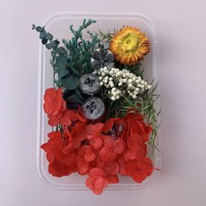 台灣出貨 裝飾 幹花束 花束干花材料包永生干花A款畫團扇賀卡手工干花小花束天然真花滴膠, 21號精致干花/盒