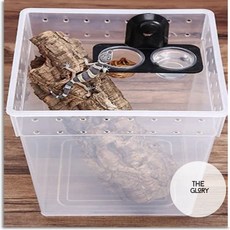 더글로리 파충류 먹이그릇 곤충먹이구, 2구
