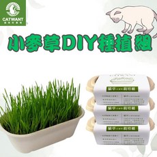 CATWANT 貓咪旺農場 小麥草DIY栽培組 貓草種植套組, 1個