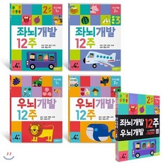 [전집] 좌뇌 우뇌 개발 12주 전4권 세트(색종이 증정) :, 삼성출판사(전집)