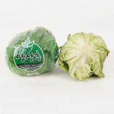 국내산 양상추 가정용 개별 포장 6구 12구, 6개