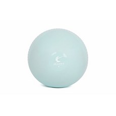 아이워너 소프트 토닝볼 1kg 2개입 웨이트볼 메디신볼, 선택완료