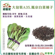 綠藝家 鳳京白菜種子 葉色淡綠，葉質柔軟，生長速, 1個