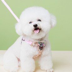 강아지 하네스 가슴줄 앞섬방지 리드줄 소형견, 핑크, 1세트