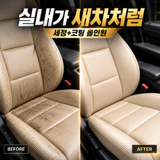 자동차 실내세정제 가죽클리너 가죽시트 대시보드 플라스틱 세정 코팅 500ml 디테일링닥터스 레더케어클리닉, 1개