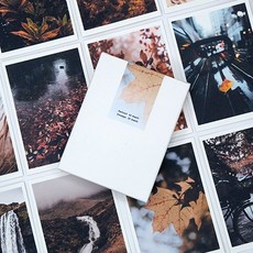 하이파이 가을 미니카드 메세지카드 40P+봉투20P 생일카드/축하카드/엽서봉투, 1