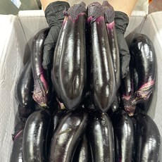 국내산 가지 특A급, 1개, 2kg