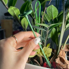 식집사 화초 화분 식물지지대 17cm 화분지지대 화초지지대 몬스테라지지대 방울토마토지지대, 없음