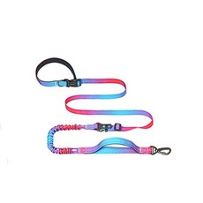 狗牽引繩 伸縮式免提漸變狗繩 多功能安全反光可調導線遛狗laiwc, 1個, 紅色和藍色