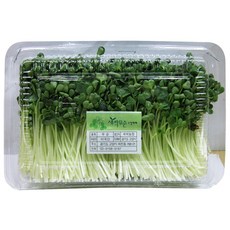 청무순 1팩(150g) 이강산닷컴, 150g, 1개