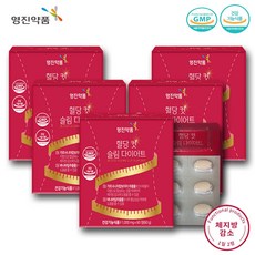 [영진약품 건강기능식품] 혈당 컷 슬림다이어트 식후혈당상승억제 및 제지방감소 동시케어, 5개, 60정