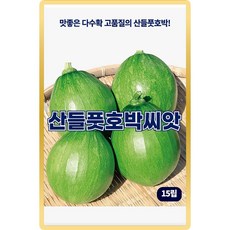 산들 풋호박 씨앗 15립 맛좋은 다수확 가능 소량 풋호박씨 종자, 1개