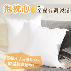 MIT台灣製造 48x48公分抱枕芯，A級中空棉，可水洗, 詳見包裝, 詳見包裝