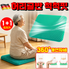 {TV홈쇼핑1워} TPE소재 기능성 자세 허리골반 척척핏 방석 바른자세 인체공학 의자 쿠션 사무실 의자 방석 클링방석 LUPEIYA, 2개