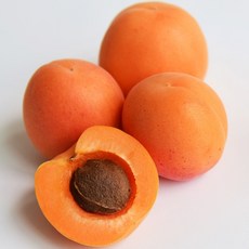 새콤달콤 살구, 1박스, 500g