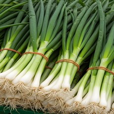 행복농산 국내산 손질대파 1단 2kg내외, 1개, 2kg