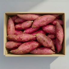 꿀고구마 해남 특품 특상, 1박스, 2kg