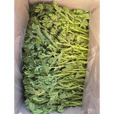 텃밭사장이 수확하는 쑥갓, 1박스, 4kg