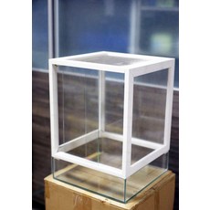 欣欣水族 M62 爬蟲缸 36*36*50 變色龍/甲蟲等適用, 1個