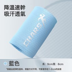 運動護腕擦汗手腕巾運動毛巾健身羽毛球跑步冰感速幹護腕現貨批發, 1個, 藍色:如圖所示