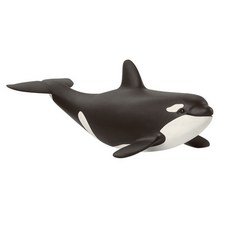 (선물완구)슐라이히 새끼 범고래 SL14836 Baby Killer Whale, 1개