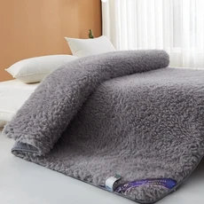 쿠션 매트리스 두꺼운 가정용 침대 다다미 매트 전용 기숙사 학생