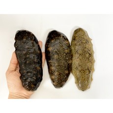 거제도 해녀언니가 채취 자연산 활 돌해삼 1kg, 1개
