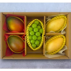 설날 과일선물세트 (골드망고/애플망고/샤인머스켓), 1박스