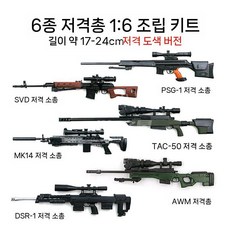 조립식 AK47 총기 모형 4D 건모델 진열대 서바이벌 군사 취미 1/6, 눈에 띄는 총의 6 개의 페인트 버전 (F 패키지)