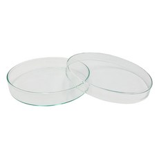 아즈완 스탠다드 샬레 φ150×25mm 2-9169-08