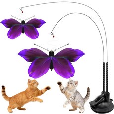Walfront 고양이를 위한 고양이 장난감 나비 부착물 2개 이중 흡입 베이스 인터랙티브 및 솔로 플레이 모드 여러 집 훈련 유대감에 이상적 퍼플 - 모든 재미있고, Walfront 고양이를 위한 고양이 장난감, 나비 부