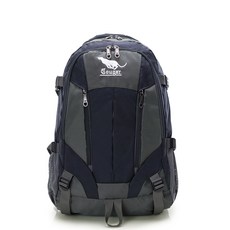 Cougar 超輕量休閒旅遊包 多隔層收納 耐磨材質 透氣背墊 多色可選, 灰色