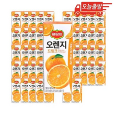 오늘출발 롯데 델몬트 오렌지 드링크, 48개, 190ml