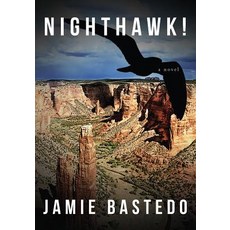 (영문도서) Nighthawk! Paperback, Red Deer Press, English, 9780889954557