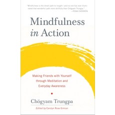 (영문도서) Mindfulness in Action: Making Friends with Yourself Through Meditation and Everyday Awareness Paperback, Shambhala, English, 9781611803532