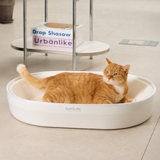 3651 bukbuk 벅벅 오벌 펠트 고강도 고양이 스크래쳐, 1개, 화이트