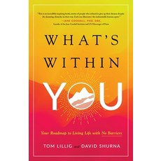 What's Within You: Your Roadmap to Living Life With No Barriers Paperback, Kenilworthlore Publishing