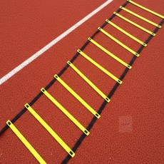 다온58 트레이닝 스텝레더 6m 점프동작