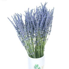 新疆伊犁純天然薰衣草新花幹花花束拍攝安神助眠家居裝飾擺件插花, 100支薰衣草