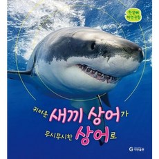 귀여운 새끼 상어가 무시무시한 상어로 (한살이 자연 관찰)[양장], 없음