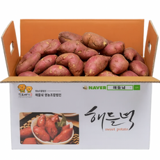 [25년 고구마] 못난이 해들녘 고창 무농약 세척 꿀 고구마 5kg 10kg (왕/특/상/중), 1개, 해들녘고구마 5kg (상 못난이)